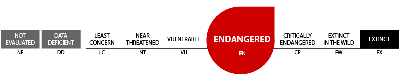 IUCNRedList Endangered