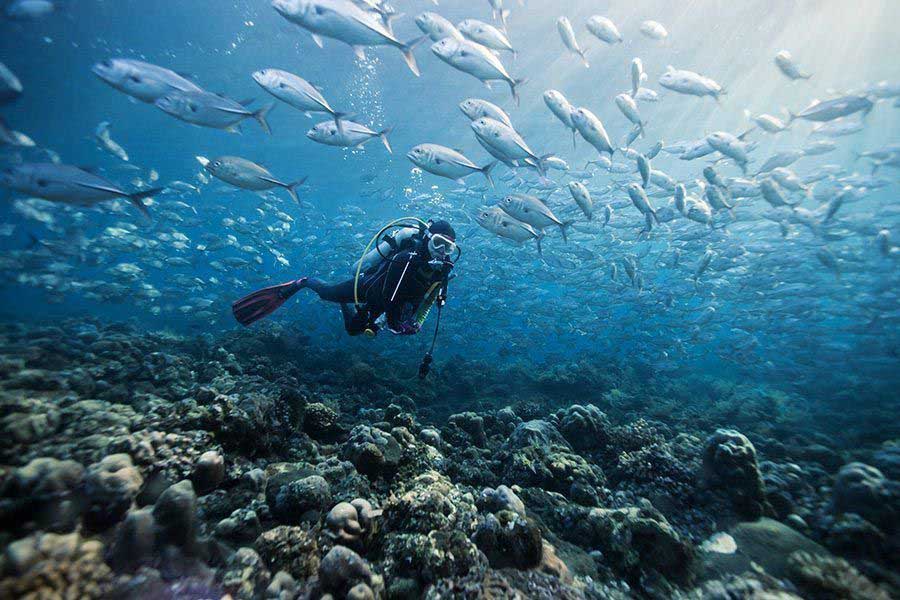 Laamu Atoll Scuba Diving